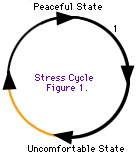 Stresssyklusen går fra en fredelig tilstand til en ubehagelig tilstand og tilbake til en fredelig tilstand