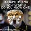 Sosiopater og psykopater! Kjenner du en?