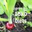 Voksen ADHD og dietter